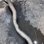 هدرز لاندكروزر مع دبة فوكس إلكترونيه