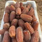 تمر برني العلا فاخر نفس الصوره