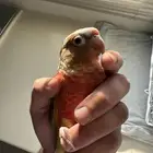 طيران الناس اليف جدا جدا جدا