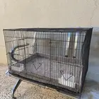 شبك حمام أو طيور   او دجاج