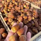 تمر جلكسي مطوق فاخر