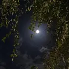 مطلوب جيمني من 2010 الى 2020 ويقبل (اقصاااد)