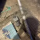حمام هارا بلدي