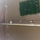 محمية فرح