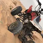 دباب للبيع قابل للتبادل
