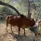 غرب خميس البحر