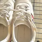 سبورت تومي هيلفيغر