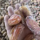 تمر صفري جلكسي الحبه مشاء الله رويانه