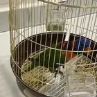 امازوني و لوري للبيع