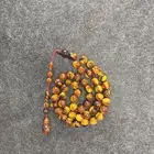 الاحساء