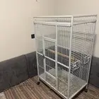شبك كبير