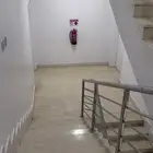 عمارة للإيجار ضباء نيوم امالا
