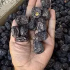 عجوا المدينه