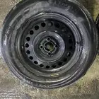 جنوط صني للبيع