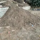 سماد غنم للبيع دمنه