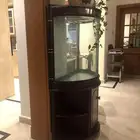 احوض اسماك كبيرنضيف جدا يوجد زينه حوض