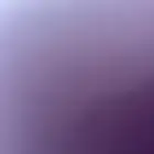 قط سكوتش