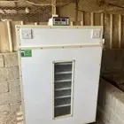 فقاسه شبه جديده