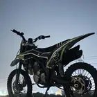 دباب صحراوي