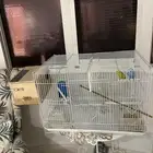 بادجي عدد 2 للبيع