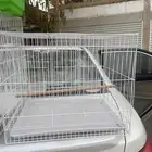 أقفاص طيور للبيع