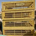 للبيع شوك صفر تحميل نظيف ات