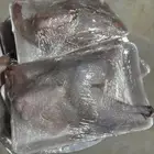 ديوك