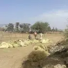 مطلوب مزارع بيوت محمية بالراتب