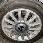 جنوط ماركيز مقاس 17