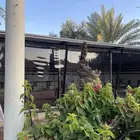 بيت الشعر