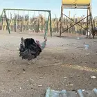 دجاج رومي   شرط الصحه وبياض