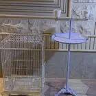 ستاند مع قفص