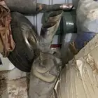 دبة كابرس وكاله