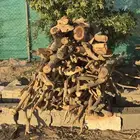 حطب مستورد سمر وحمضيات يابس كله ومشروط