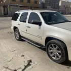 دينالي 2011 للبدل