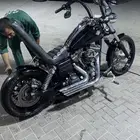 وايد قلايد 2011