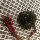 مسباح زعفراني حرباء