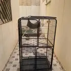 للبيع قفص قطط يكفي ل 4 قطط واكثر