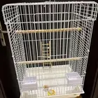للبيع قفص طيور كبير