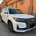 شانجان 2020 سي اس 95