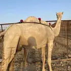 خلفه وضحا منيحه طيبه وتحتها بكره طيبه الحد10500تمم البيعع