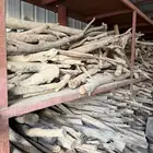 اثل للبيع مقصص وجاهز