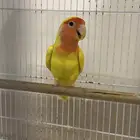 روز للبيع حط سعرك وشيل