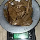 عود مروكي اصقون