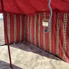 بيت شعر جديد