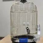 للبيع قفص دائري استخدام اسبوعين