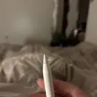 راس قلم ابل للبيع