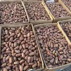 تمر صفري اشعل فاخر