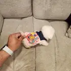 مالتيبو تي كب اصغر حجم