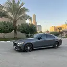 AMG CLS 2019